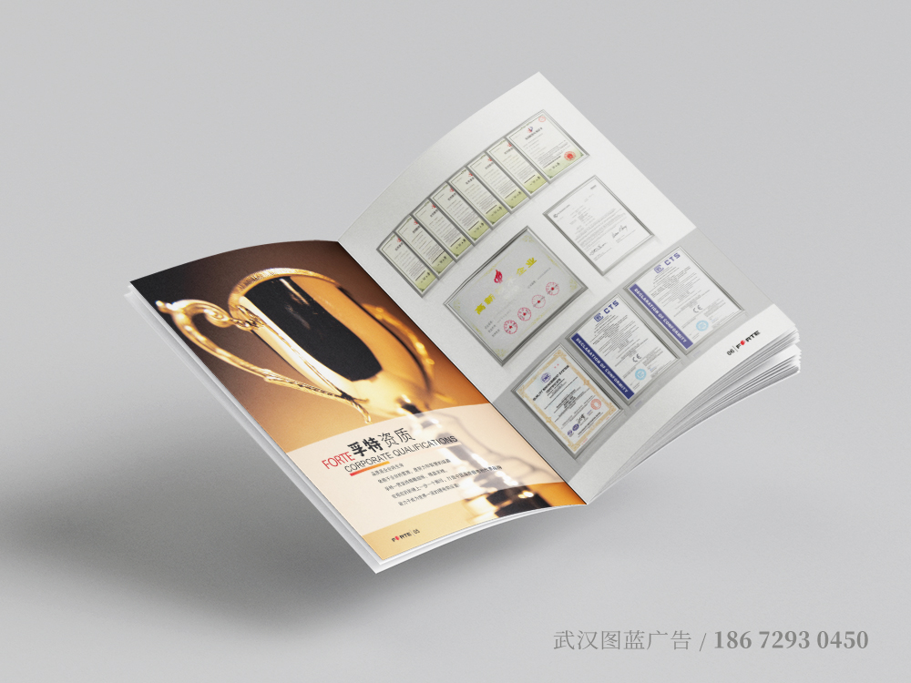 FT內(nèi)頁(yè)3