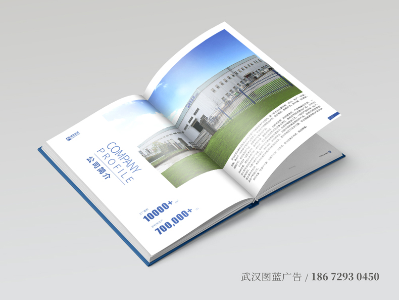 內(nèi)2 內(nèi)2