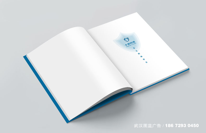 內(nèi)頁效果1 內(nèi)頁效果1